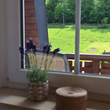 Waldquelle Vital Gaestehaus Eberbach