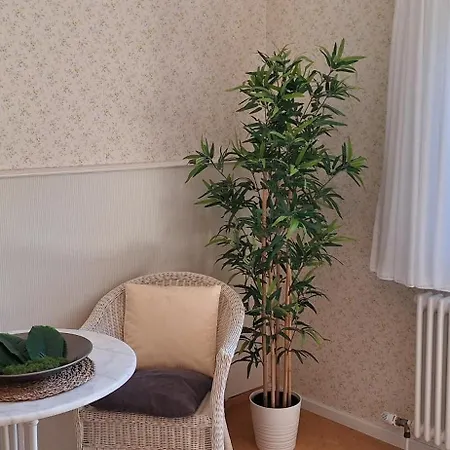 Waldquelle Vital Gaestehaus 3* 埃伯巴赫