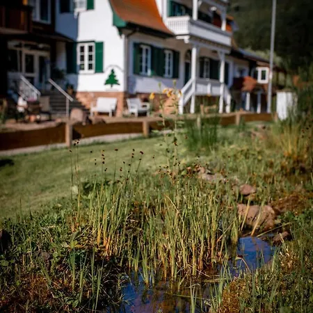 Waldquelle Vital Gaestehaus 3*